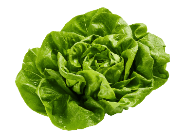 Kotimainen Kievarin salaatti