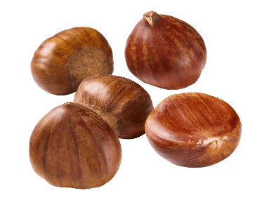 Kastanja