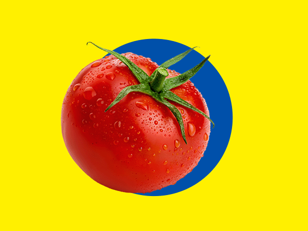 Tuore punainen tomaatti vesipisaroilla, keltaisella taustalla sinisellä ympyrällä.