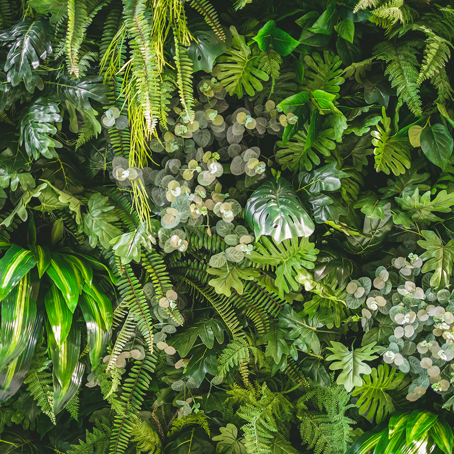 Viherseinä, jossa on erilaisia vihreitä kasveja ja lehtiä.