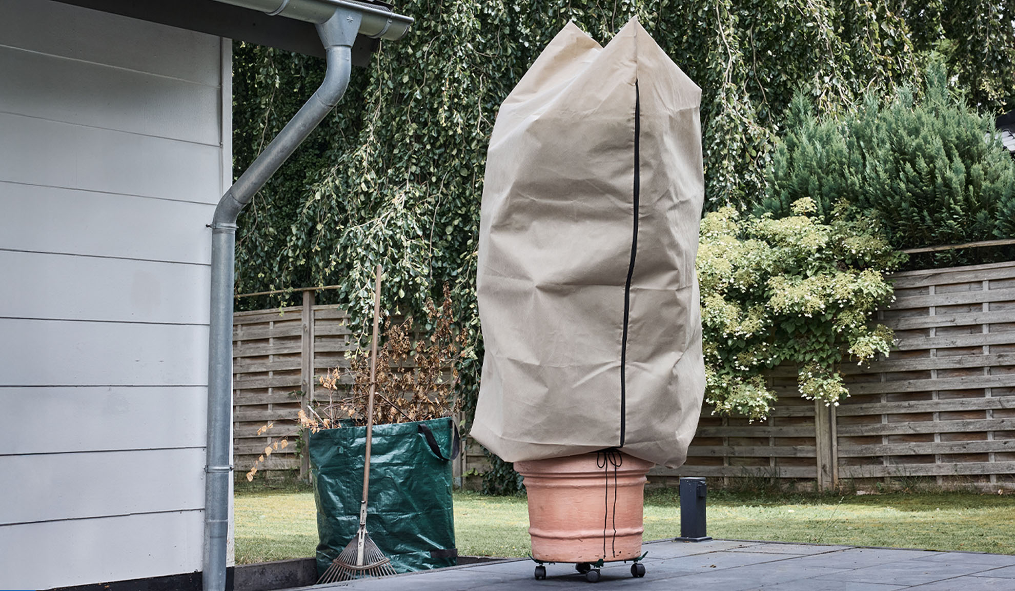 Kasvipeite ruukkukasvin päällä terassilla, jossa on sadevesikouru ja harava.