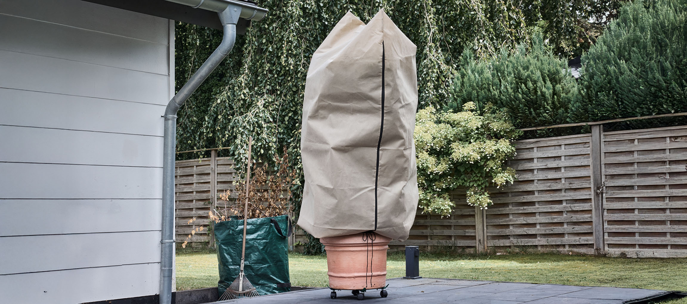 Ruukkukasvi talvisuojapeitteellä patiolla talon vieressä.